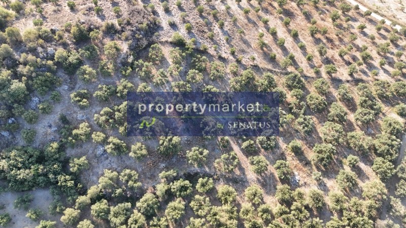 Οικόπεδο 7.700 τ.μ. προς πώληση, Καλύβες Αρμενών
