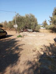 Μονοκατοικία 50 τ.μ. προς ενοικίαση, Μονόχωρο-thumb-68