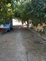 Μονοκατοικία 50 τ.μ. προς ενοικίαση, Μονόχωρο-thumb-64