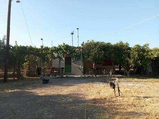 Μονοκατοικία 50 τ.μ. προς ενοικίαση, Μονόχωρο-thumb-59