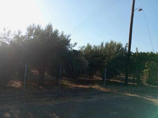 Μονοκατοικία 50 τ.μ. προς ενοικίαση, Μονόχωρο-thumb-42