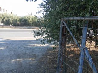 Μονοκατοικία 50 τ.μ. προς ενοικίαση, Μονόχωρο-thumb-41