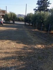 Μονοκατοικία 50 τ.μ. προς ενοικίαση, Μονόχωρο-thumb-23