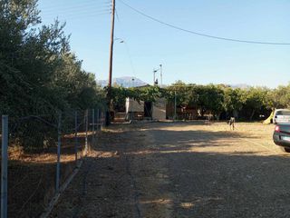 Μονοκατοικία 50 τ.μ. προς ενοικίαση, Μονόχωρο-thumb-56