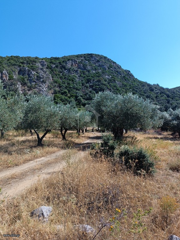 Αγροτεμάχια 1.200 τ.μ. προς πώληση, Εύβοια, Λιχάδα