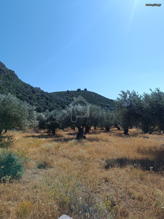 Αγροτεμάχια 1.200 τ.μ. προς πώληση, Εύβοια, Λιχάδα