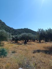 Αγροτεμάχια 1.200 τ.μ. για πώληση, Εύβοια, Λιχάδα-thumb-5