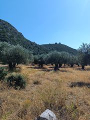 Αγροτεμάχια 1.200 τ.μ. για πώληση, Εύβοια, Λιχάδα-thumb-6