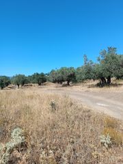 Αγροτεμάχια 1.200 τ.μ. για πώληση, Εύβοια, Λιχάδα-thumb-8