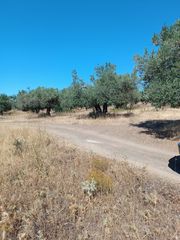 Αγροτεμάχια 1.200 τ.μ. για πώληση, Εύβοια, Λιχάδα-thumb-9