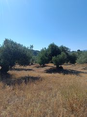 Αγροτεμάχια 1.200 τ.μ. για πώληση, Εύβοια, Λιχάδα-thumb-11
