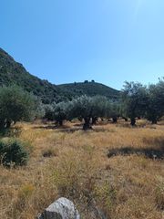 Αγροτεμάχια 1.200 τ.μ. για πώληση, Εύβοια, Λιχάδα-thumb-12