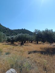 Αγροτεμάχια 1.200 τ.μ. για πώληση, Εύβοια, Λιχάδα-thumb-16