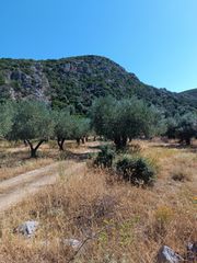 Αγροτεμάχια 1.200 τ.μ. για πώληση, Εύβοια, Λιχάδα-thumb-18