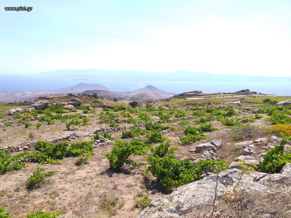 Αγροτεμάχια 5.300 τ.μ. για πώληση, Κυκλάδες, Πάρος