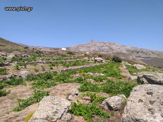 Αγροτεμάχια 5.300 τ.μ. για πώληση, Κυκλάδες, Πάρος-thumb-2