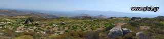 Αγροτεμάχια 5.300 τ.μ. για πώληση, Κυκλάδες, Πάρος-thumb-5