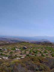 Αγροτεμάχια 5.300 τ.μ. για πώληση, Κυκλάδες, Πάρος-thumb-3