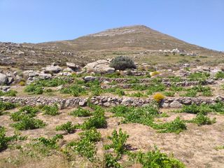 Αγροτεμάχια 5.300 τ.μ. για πώληση, Κυκλάδες, Πάρος-thumb-4