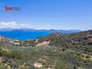 Land plot 8.000sqm for sale-North Kinouria