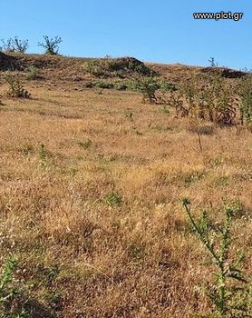 Οικόπεδο 11.000 τ.μ. για πώληση