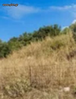 Οικόπεδο 16.000 τ.μ. για πώληση