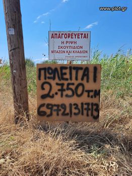 Αγροτεμάχια 2.750 τ.μ. για πώληση