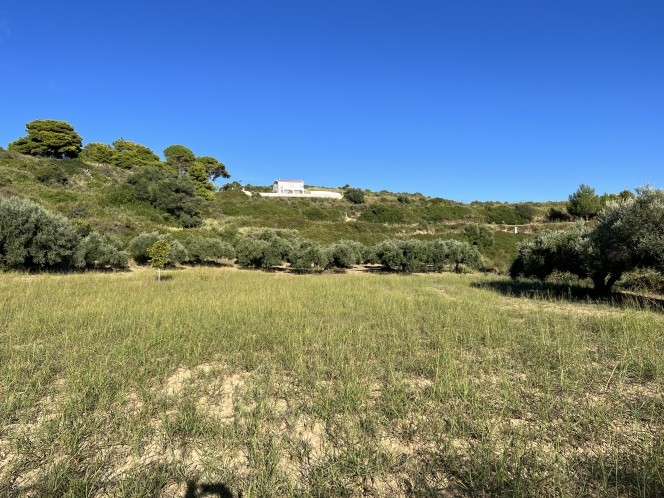 Αγροτεμάχια 6.058 τ.μ. πρός πώληση, Ν. Κεφαλονιάς, Κεφαλονιά