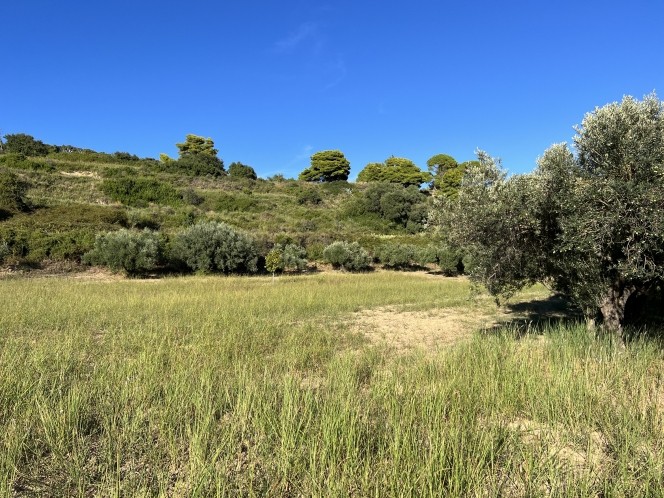 Αγροτεμάχια 6.058 τ.μ. πρός πώληση, Ν. Κεφαλονιάς, Κεφαλονιά