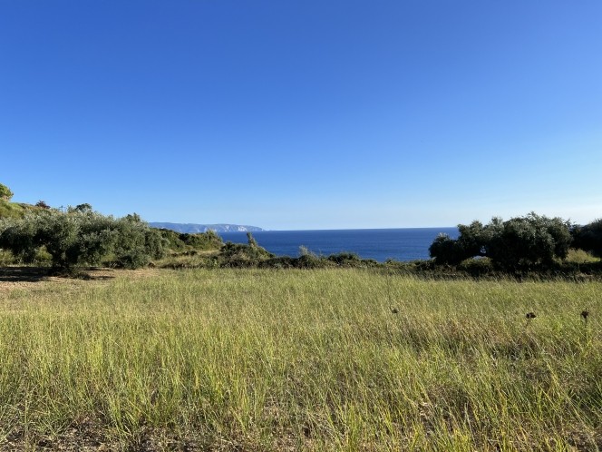Αγροτεμάχια 6.058 τ.μ. πρός πώληση, Ν. Κεφαλονιάς, Κεφαλονιά