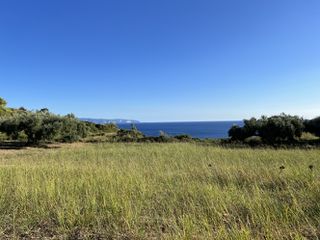 Αγροτεμάχια 6.058 τ.μ. για πώληση