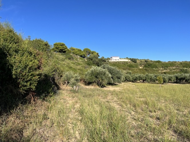 Αγροτεμάχια 6.058 τ.μ. πρός πώληση, Ν. Κεφαλονιάς, Κεφαλονιά