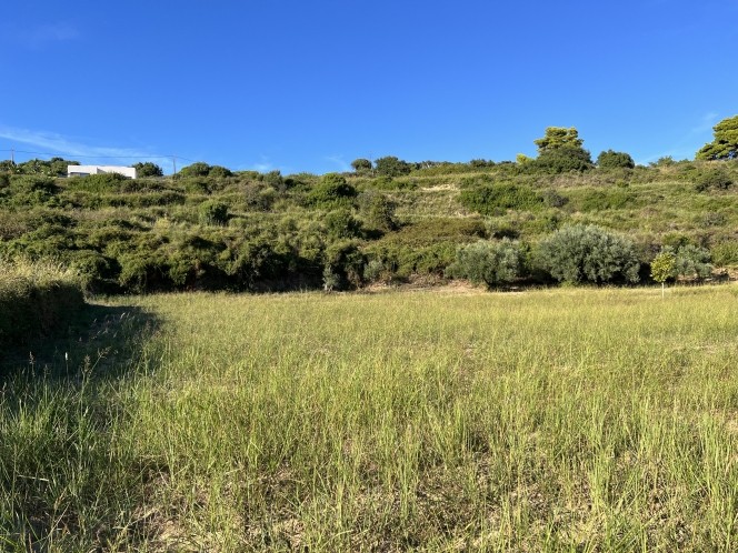 Αγροτεμάχια 6.058 τ.μ. πρός πώληση, Ν. Κεφαλονιάς, Κεφαλονιά
