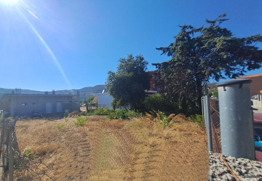 Οικόπεδο 240 τ.μ. προς πώληση, Αγία Άννα Νηλέως