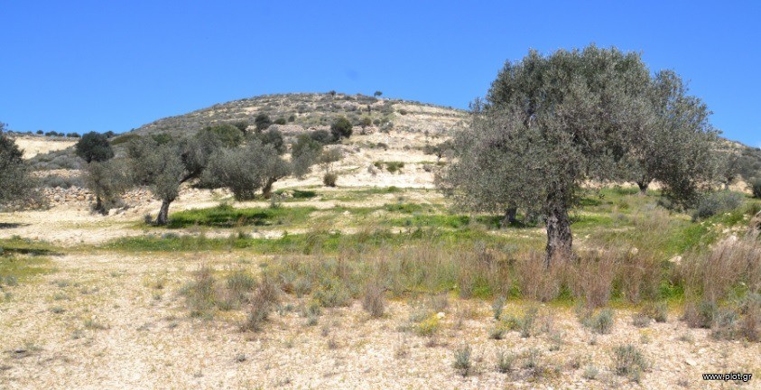 Οικόπεδο 14.864 τ.μ. πρός πώληση, Ν. Ηρακλείου, Τυμπάκι