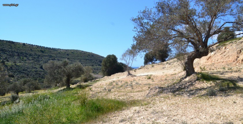 Οικόπεδο 14.864 τ.μ. πρός πώληση, Ν. Ηρακλείου, Τυμπάκι
