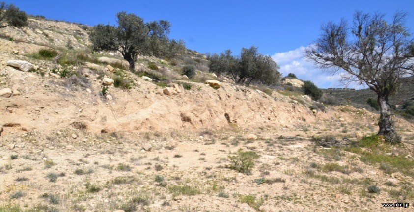Οικόπεδο 14.864 τ.μ. πρός πώληση, Ν. Ηρακλείου, Τυμπάκι
