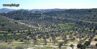 Οικόπεδο 14.864 τ.μ. προς πώληση, Καλαμάκι Τυμπακίου-thumb-6
