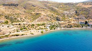 Αγροτεμάχια 8.200 τ.μ. για πώληση