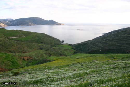 Οικόπεδο 28.500 τ.μ. πρός πώληση, Δωδεκάνησα, Λέρος