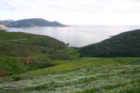 Land plot 28.500sqm for sale-Leros » Gourna
