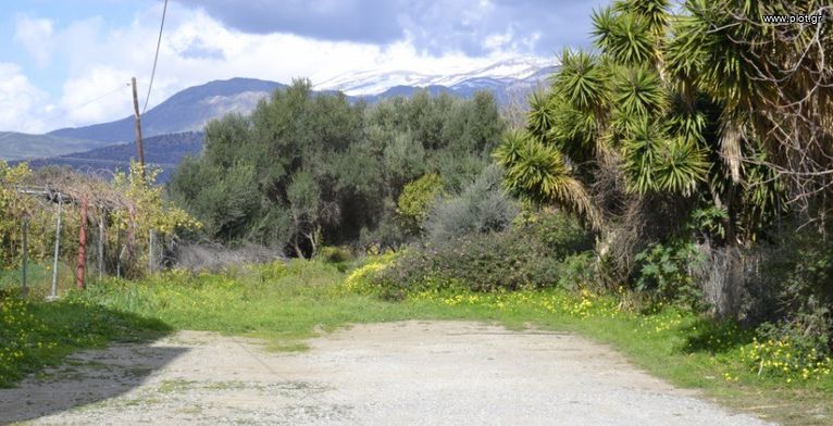 Οικόπεδο 1.500 τ.μ. για πώληση, Ν. Ηρακλείου, Τυμπάκι