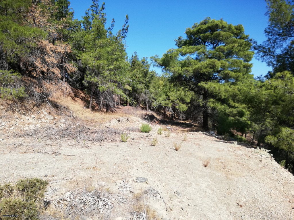 Οικόπεδο 6.218 τ.μ. πρός πώληση, Δωδεκάνησα, Λέρος