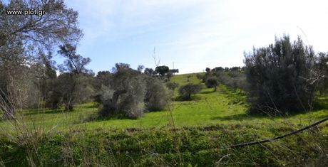 Land plot 4.507 sqm for sale