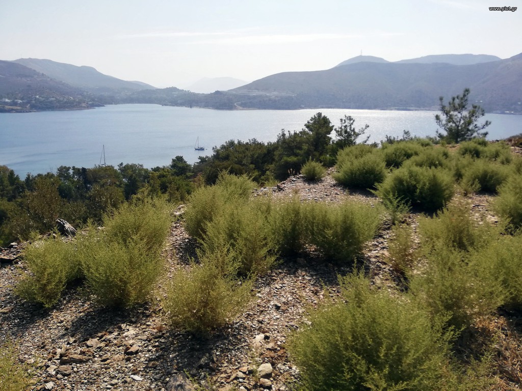 Οικόπεδο 7.198 τ.μ. πρός πώληση, Δωδεκάνησα, Λέρος