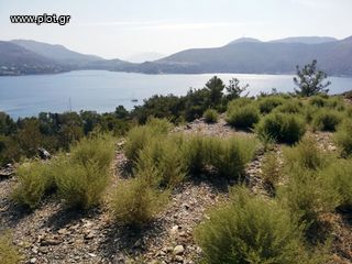 Οικόπεδο 7.198 τ.μ. για πώληση