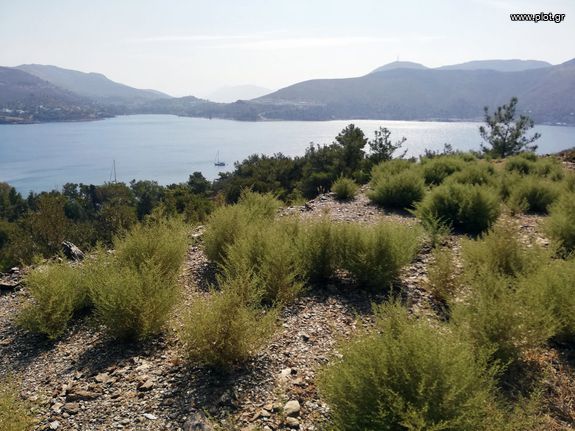 Οικόπεδο 7.198 τ.μ. για πώληση, Δωδεκάνησα, Λέρος