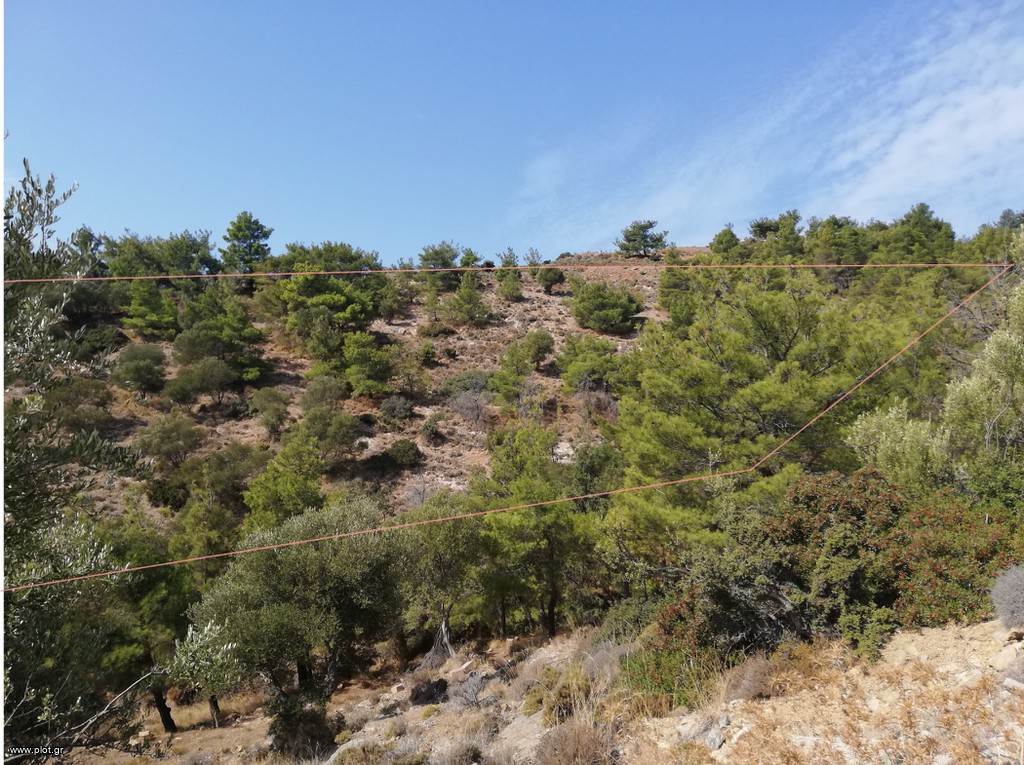 Οικόπεδο 7.198 τ.μ. πρός πώληση, Δωδεκάνησα, Λέρος