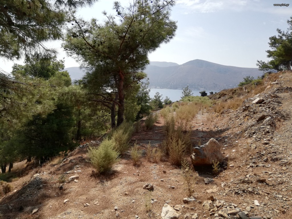 Οικόπεδο 7.198 τ.μ. πρός πώληση, Δωδεκάνησα, Λέρος