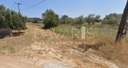 Οικόπεδο 780τ.μ. για πώληση-Παιανία » Άνοιξη